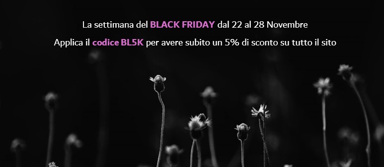 Black Friday